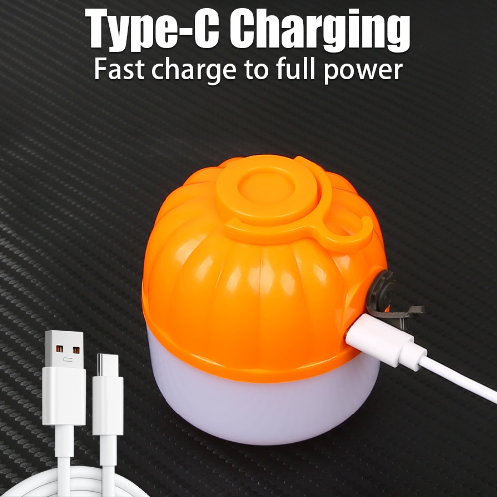 Portable Mini Camping Lamp 4 L - Outdoor Lighting Waterproof 评论和价格