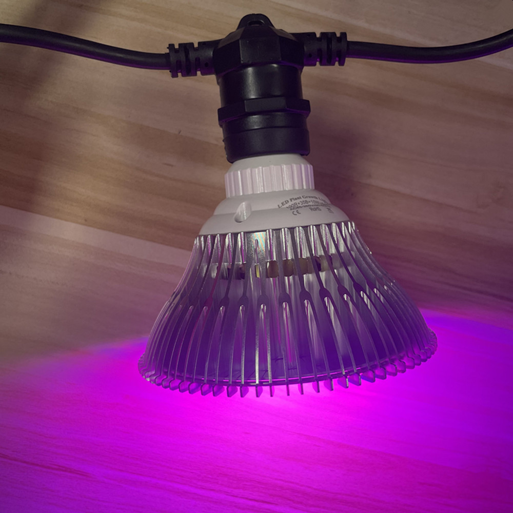 10M Cable LED String Commercia - Outdoor Lighting Effects 评论和价格
