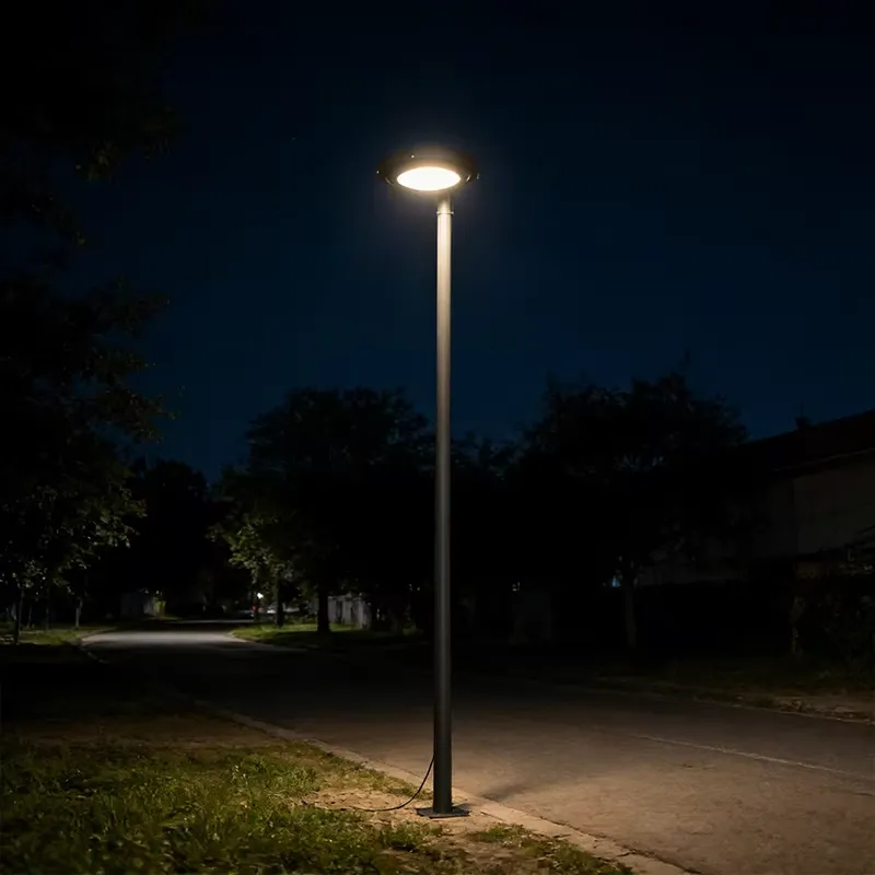 LED Garden Lamp with Steel Pol - Outdoor Lighting Ip65 评论和价格