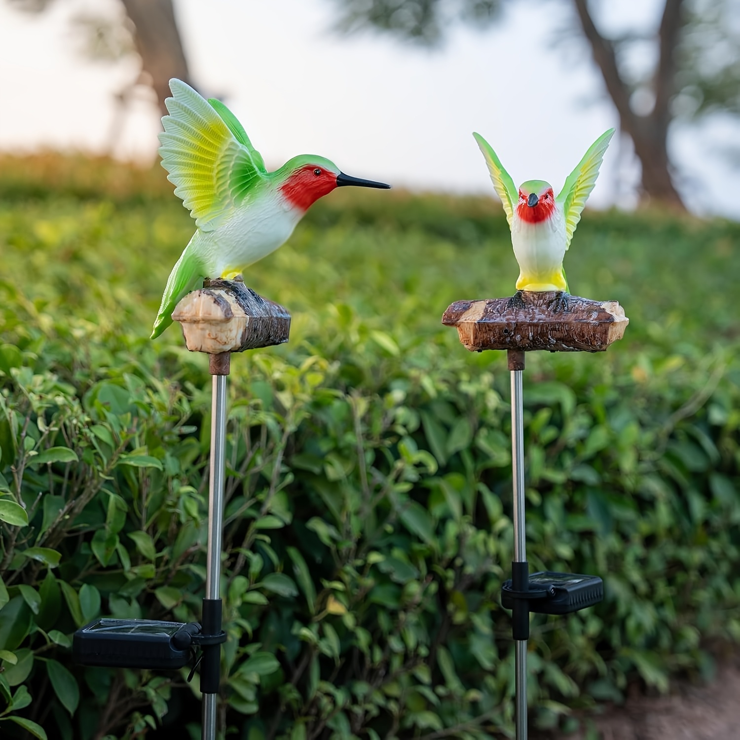 Outdoor Garden Solar Statue Li - Outdoor Lighting Pathway 评论和价格