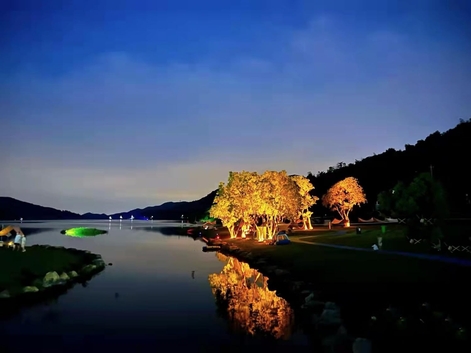 Solar Palm Tree Light Wireless - Outdoor Lighting Wireless 评论和价格