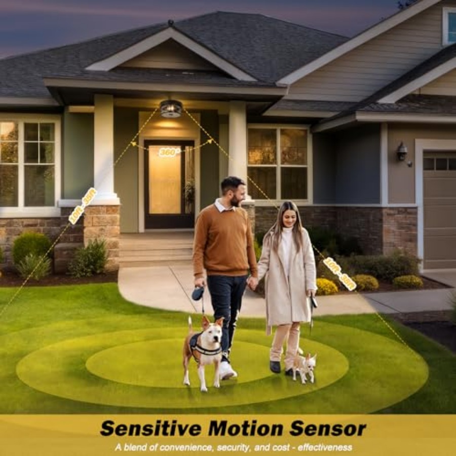 Motion Sensor Outdoor Ceiling  - Outdoor Lighting Black 评论和价格